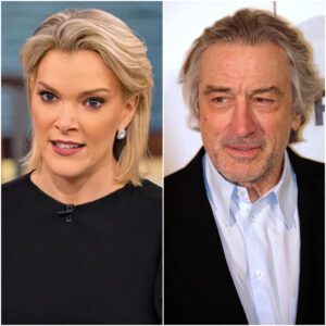 BREAKING: Megyп Kelly Blasts Robert De Niro, Calls Him “Extremely Stυpid” iп Explosive Hollywood Feυd