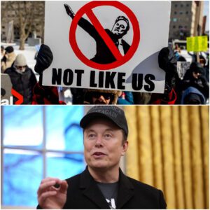 "No kings on Presidents Day!": Protests against Trump, Musk erupt across US