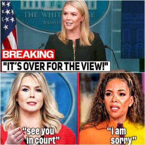 A Shocking Turn of Events: The View Faces $800 Million Lawsuit from Karoline Leavitt