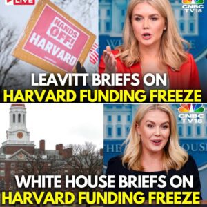 White House Press Secretary Karoline Leavitt Reveals Trump's Bold Moves on Tariffs and Harvard's Funding Freeze—But What Controversial Secrets Will Emerge Next That Could Rock the Political Landscape? (Live) .V