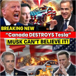 ELON MUSK GOES MAD as Canada OFFICIALLY BANS Tesla from the country - A blow to Musk that left him in shock. Immediately, Trump acted FAST to save Tesla and Elon...