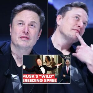 VIDEO: Elon Musk's Secret Baby Empire: 14 Kids, NDAs & Millions Paid for Silence | Firstpost America
