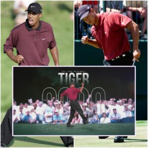 VIDEO: "Relive Tiger Woods' Historic 2000 Season: Behind-the-Scenes Insights, Record-Breaking Wins, and the Legacy That Changed Golf Forever in TIGER 2000 Documentary"
