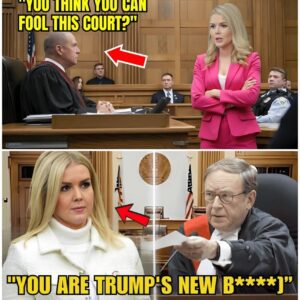 Democratic Judge Mocks Karoline Leavitt for Marrying Rich in Court — She Immediately EXPOSES Him in Front of Everyone
