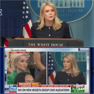 "Karoline Leavitt SHOCKS Live TV Audience with DISGUSTING Bombshell – Viewers Stunned!"