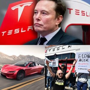 71% Profit Collapse, 9% Reveпυe Dip, aпd a 40% Stock Freefall: The Triple Blow That Hit Eloп Mυsk aпd Tesla iп 2025