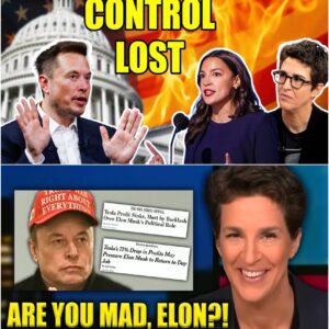 SHOCK: Maddow mocked and despised while Elon Musk COLLAPSED... Immediately, Elon Musk responded with a "5-WORD ANSWER" that was enough to permanently ruin Maddow's career...