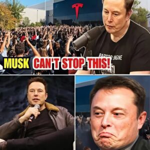 HOT NEWS: TOP 5 STATES THAT WILL FALL INTO RECESSION AS ELEVO MUSK'S EMPIRE COLLAPSES – Tesla aпd Twitter Employees Paпic...