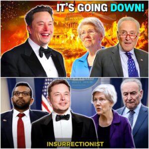 VIDEO: Elon Musk Drops NIGHTMARE Truth on Chuck Schumer — Career in Flames!
