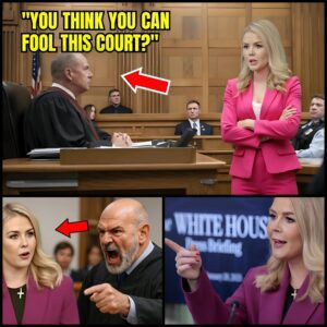 SHOCK VIDEO: Judge MOCKS Karoline Leavitt for Marrying Rich — She Instantly EXPOSES His Corrupt Empire