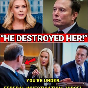 BREAKING: Karoline Leavitt and Elon Musk Team Up to Fight a Democratic Judge’s Wrongful Conviction...