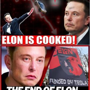 SHOCKING: Elon Musk’s Empire Crumbles: Tesla’s Secret Plot to Oust CEO Exposed...