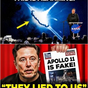 What Elon Musk EXPOSED About The Apollo 11 Mission SHOCKED The Entire Space Industry!