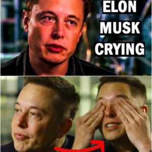 BREAKING: Elon Musk expressed shock on X, claiming Democrats and mysterious forces are orchestrating a campaign of hate and vandalism to derail Teslaโs mission. โIโm just trying to make America great,โ he posted, alleging a sinister plot to undermine his vision...