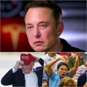 MAGA Angry as Elon Musk's Grok AI Keeps Explaining Why Their Beliefs Are Factually Incorrect