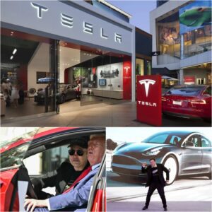 New York Surpasses Tesla: Rivian, Scout Motors And Lucid Prepare To Take The Throne After Elon Musk Was Defeated! ๐๐ฃ