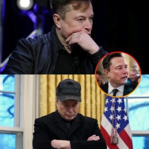 LATEST NEWS: โEveryone is against me!โ โ Elon Musk burst into tears when making a shocking announcement related toโฆ