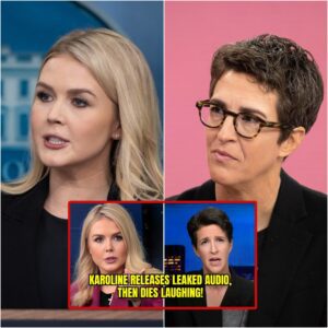 Breaking News: What Karoline Leavitt Revealed Had Maddow in Stitches — You Won’t Believe It