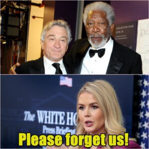 Morgan Freeman & Robert De Niro Try to INSULT Karoline Leavitt, Her Response Brings the Room to Tears