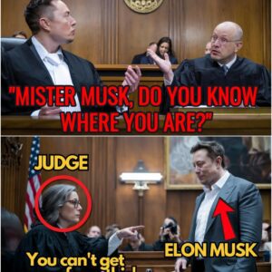 Judge mocks Elon Musk in court, shocked to learn he's a genius lawyer in disguise. However, it's too late to regret now...See details of Elon Musk's argument with the Democratic judge...