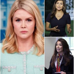 THIS JUST HAPPENED: Reporter FIRED After INSULTING Karoline Leavitt LIVE on TV—The Explosive Moment You Have to See!