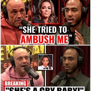 Joe Rogan & Guest EXPOSE Sunny Hostin’s Race Arguments After VIRAL Meltdown, so...
