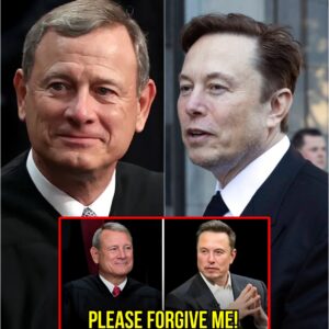 Hot: John Roberts Dismissed Musk in Court, But Musk’s Legal Mastery Turned the Tables!