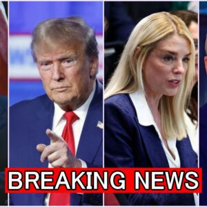 (VIDEO) Behind Closed Doors: Trump’s Cabinet Meetings EXPOSE Biden's Facade – Ingraham Drops Bombshell on Liberal Media!