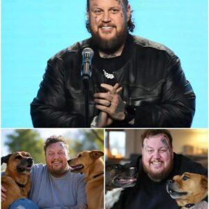 BREAKING NEWS: Jelly Rollโs $20M Stray Dog Sanctuary Breaks the Internet...