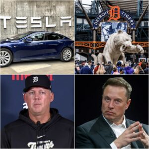 HOLY SHIT: Detroit Tigers Reject Elon Musk's Tesla Ad at Comerica Park! Tigers Give Very Good Reasons for Rejecting Elon Musk's Request, BECAUSE…
