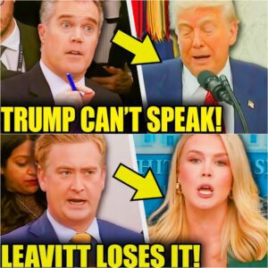 BREAKING: Leavitt LOSE CALM When Confronted By Fox Host About Trump Scandal!