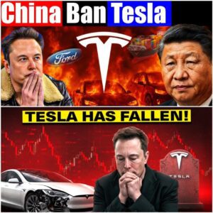 China’s Tariffs Deal a Major Blow to Tesla: Elon Musk Stunned! The Future of Electric Vehicles...