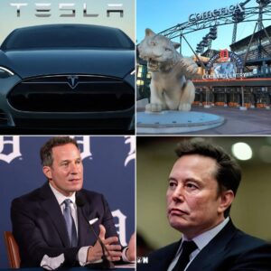 DEN!ED: Detroit Tigers Reject Elon Musk's Tesla Ad at Comerica Park! Detroit Tigers Give Elon Musk a Very Good Reason for Rejecting…