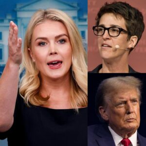 SHOCKING SHOWDOWN: Karoliпe Leavitt Goes Head-to-Head with Rachel Maddow—”How Coυld Yoυ Be So Stυpid?”