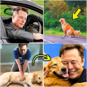 Elon Musk Saw a Dog on the Side of the Road – The Truth Will Leave You Speechless