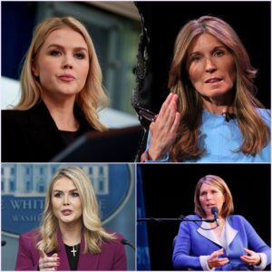 🚨LIVE TV MELTDOWN! Nicolle Wallace UNHINGED on MSNBC—Karoline Leavitt's FIERY Comeback Sparks CHAOS, Screaming Match Erupts On-Air, Cameras Keep Rolling As Audience GASPS!