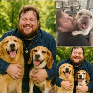 BREAKING: Jelly Rollโs $20M Stray Dog Sanctuary Plan Sparks Global Praise...