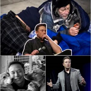 Why Did Elon Musk Choose Animals Over People? His Silent Move Sparks Debate