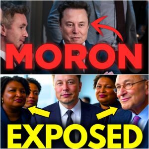 VIDEO: $2 BILLION SCANDAL EXPOSED: Elon Musk Uncovers Stacey Abrams & Chuck Schumer’s Shocking Federal Fraud