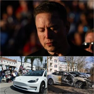 "Tesla Under Pressure: Crashes, Protests and Big Question Marks for Elon Musk"