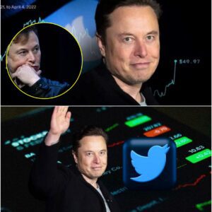 When Elon Musk Tweets, Wall Street Panics — But What If He Goes Too Far?