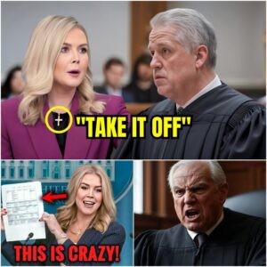Karoline Leavitt Says ‘TOO LATE!’ – $800M Lawsuit Against Judge Who Fined Her Will Move Forward! In a fiery turn of events, Press Secretary Karoline Leavitt made it crystal clear: “TOO LATE!”...
