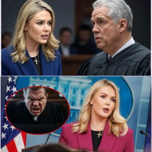 “TOO LATE!” Karoline Leavitt Declares War with $800M Lawsuit — The Judge Thought It Was Over… Until Now