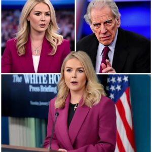 BREAKING: Karoline Leavittโs Courtroom Takedown and the Leaked Audio That Rocked the System...