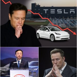 China Targets Tesla — Musk’s Shanghai Gigafactory Faces Shutdown Threat as BYD Surges