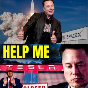 From SpaceX Triumph to Tesla Trouble — Is Elon Musk Losing Control?