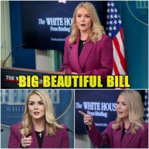 VIDEO: Karoline Leavitt holds briefing after House advances Trump's 'big, beautiful bill' - LU