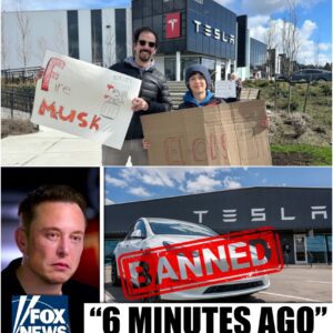 BREAKING: Protesters Call for Musk’s Firing as Tesla Faces New Ban