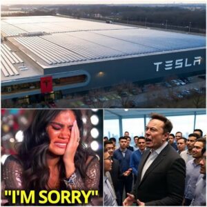 FIRED FOR SPEAKING OUT: Tesla Manager Blames Elon Musk as Sales Plummet and Was Immediately Fired - Luxury Blog