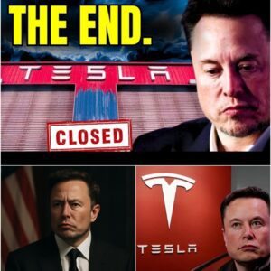 “Elon Musk Shuts Down Exit Rumors — Tesla Stock Surges After CEO Pledge”